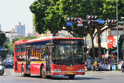桂A D9532