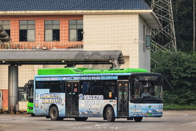 桂B 04990D