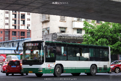 桂B 38033