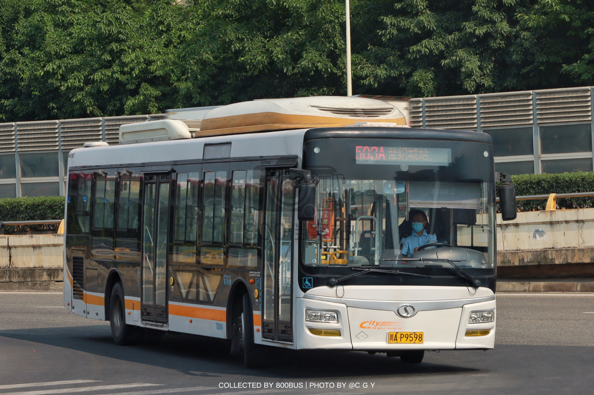 Bus Archive