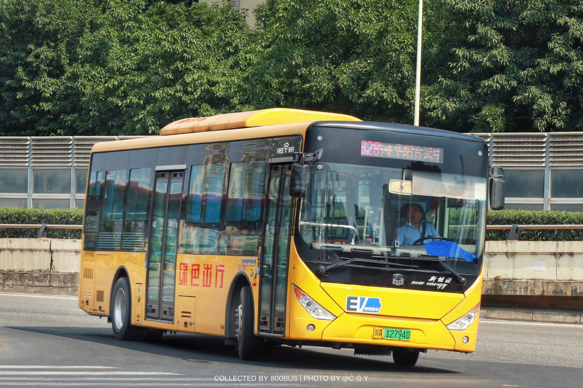 Bus Archive
