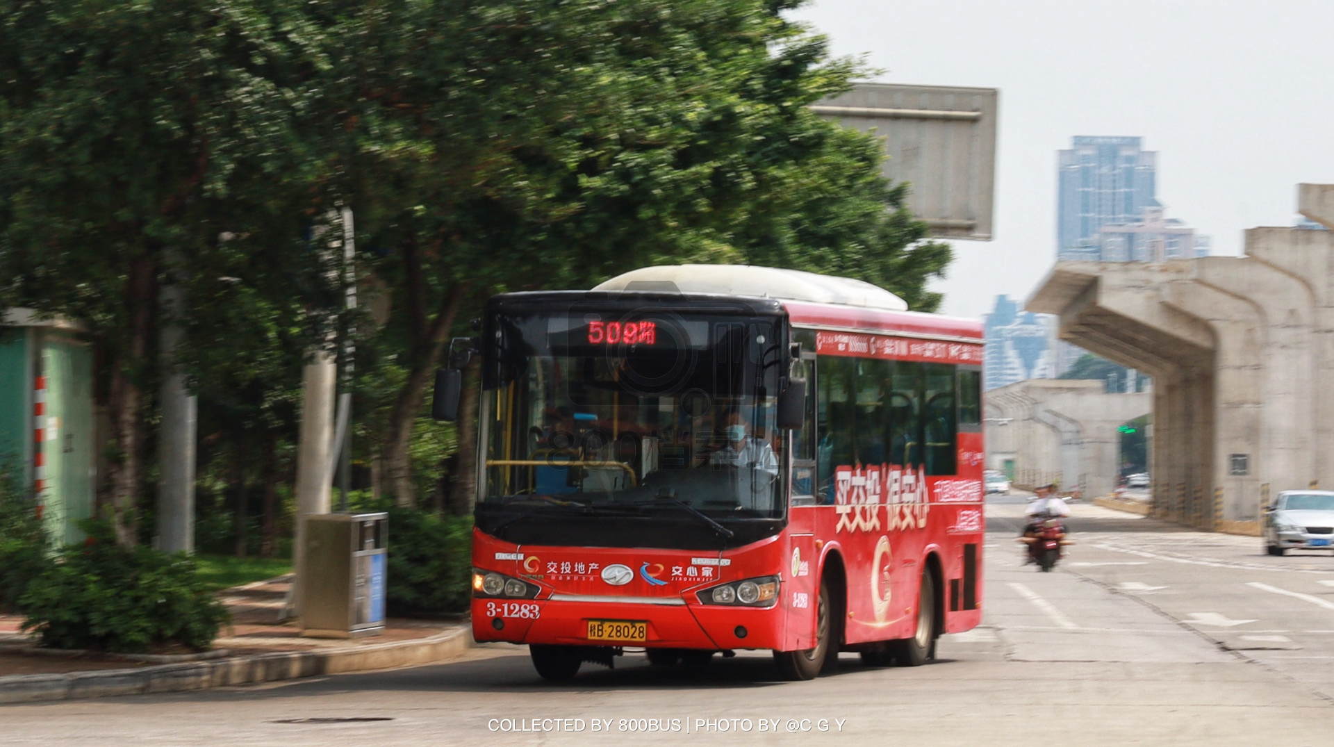 Bus Archive