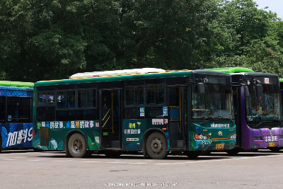桂B 39910