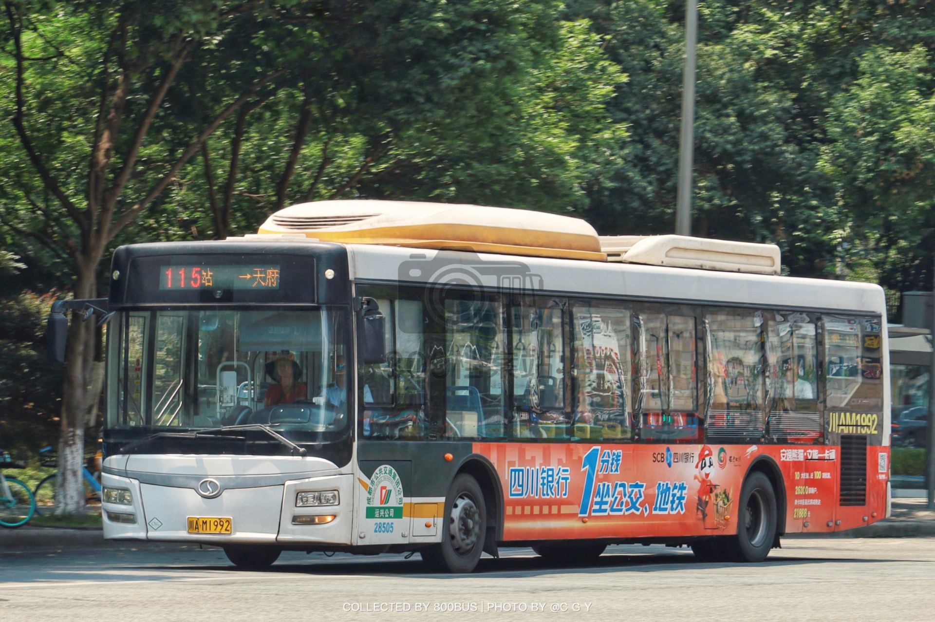 Bus Archive