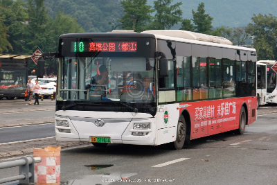 川A 07981D