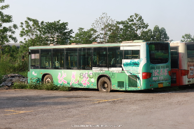 桂B 35813
