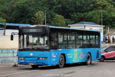 桂B 37798