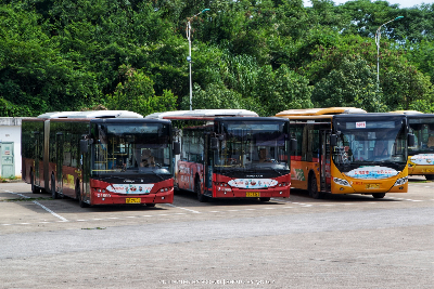 桂B 39202 ｜桂B 39526