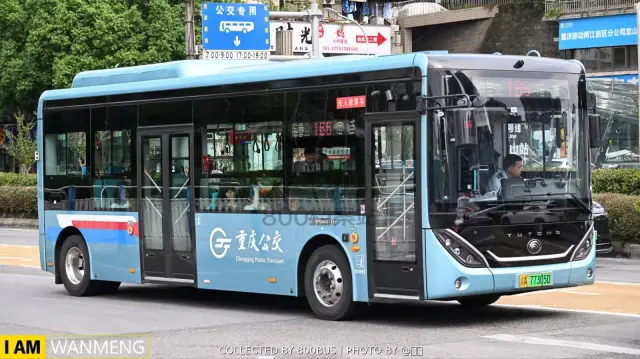 800BUS