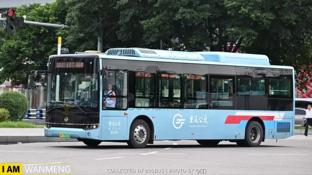 800BUS