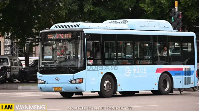 800BUS
