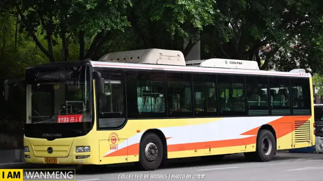 渝B W3030