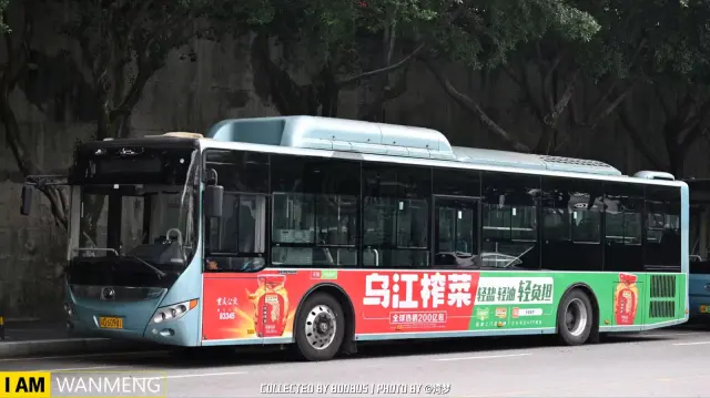 渝D 60941