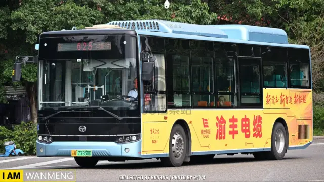 渝A 77830D
