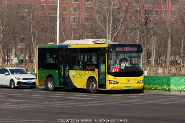 津A 00233D