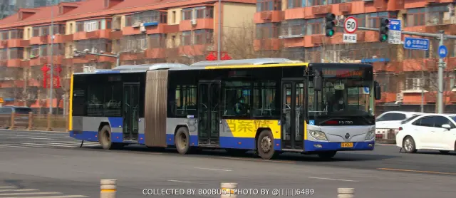 京A W0611