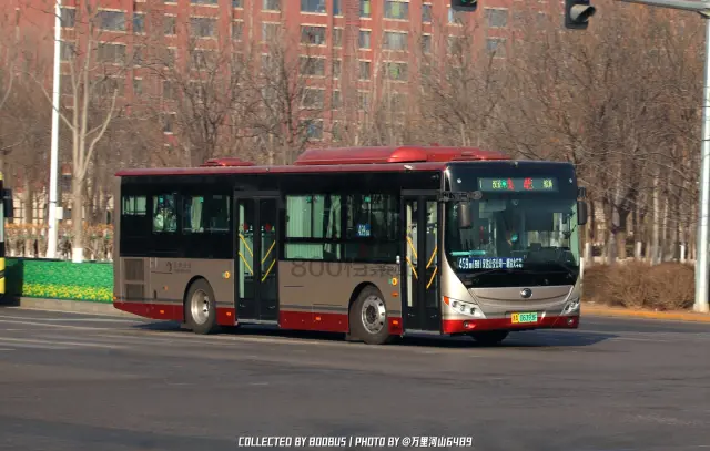 800BUS