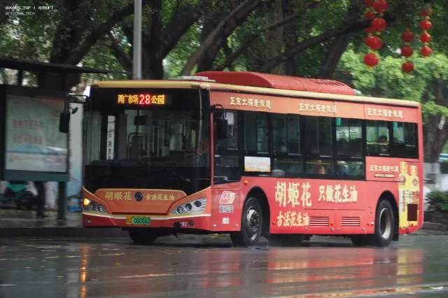 桂D