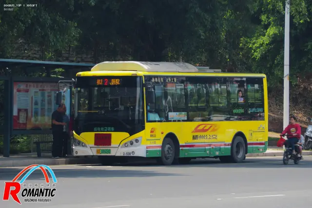 800BUS