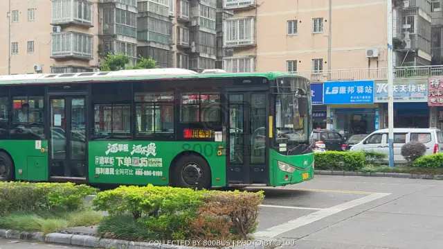 桂C 35201