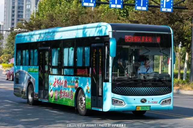 800BUS