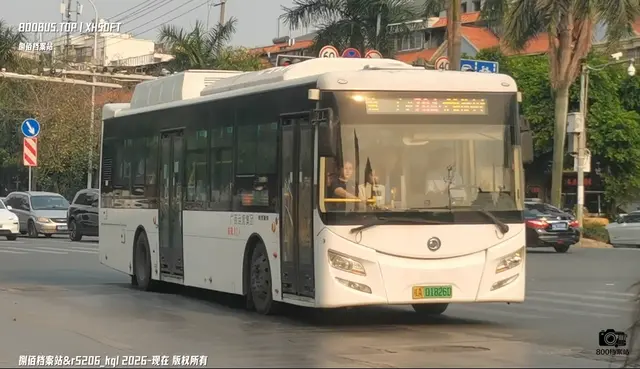 桂A01826D