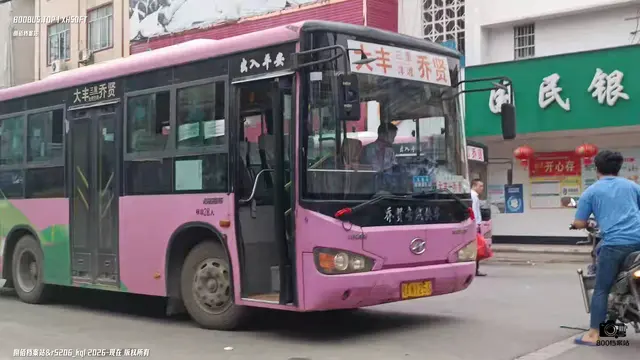800BUS