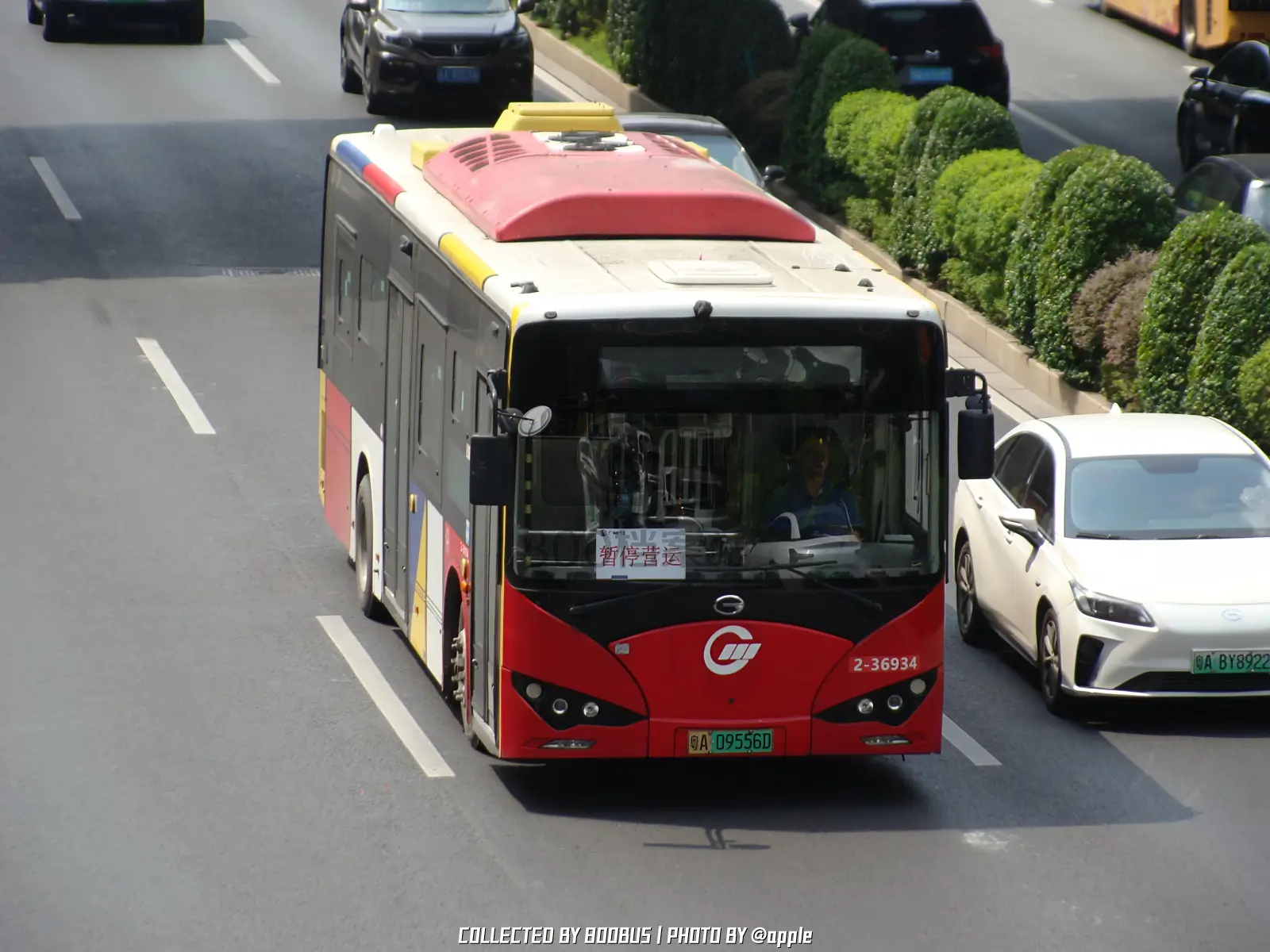 Bus Archive