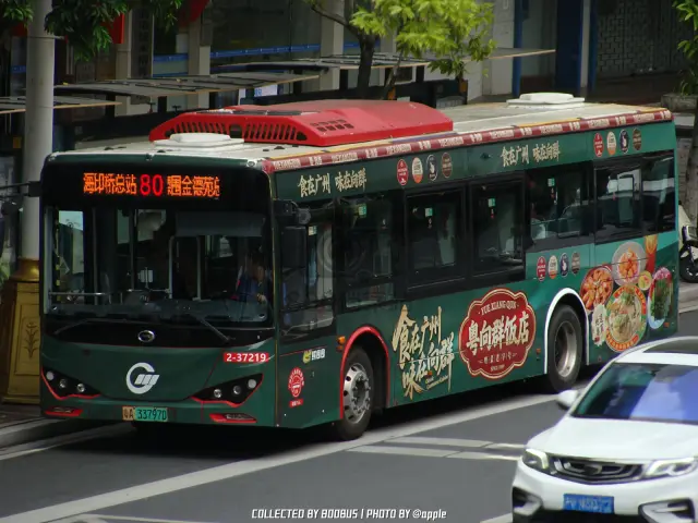 粤A 33797D