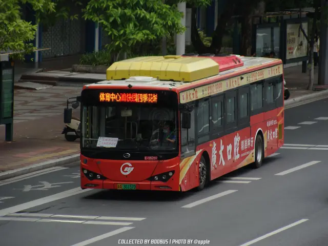 粤A 30157D