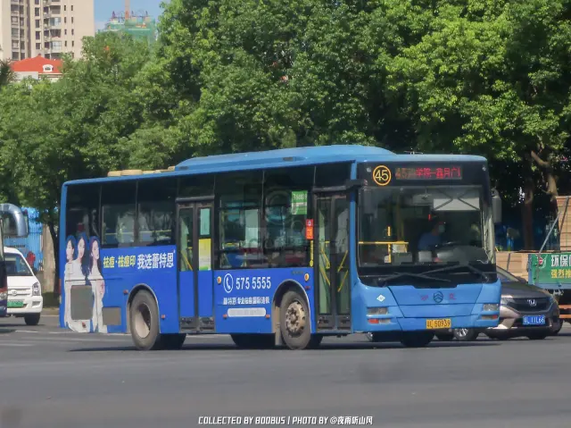 粤L 50939