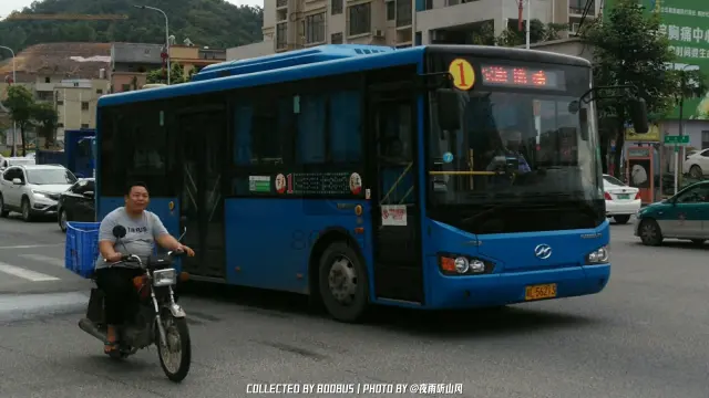 粤L 56213