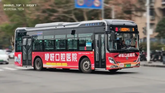 800BUS