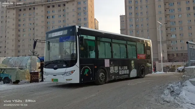 吉B 11599D