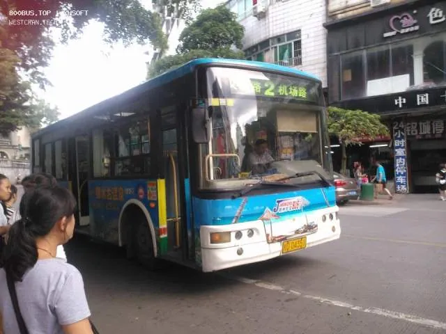 桂D 04351