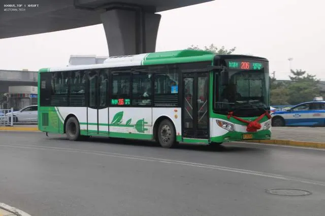 冀A 3536X