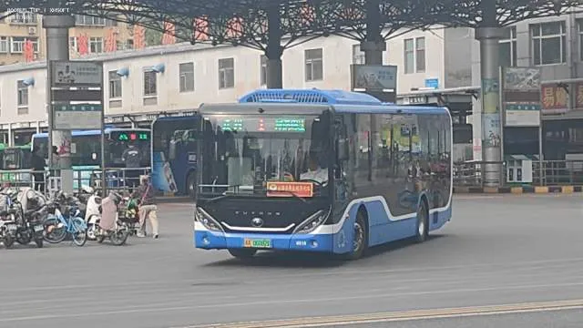 冀A·06082D