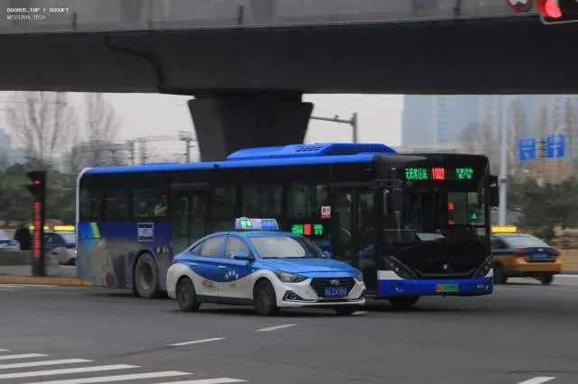 冀A·07095D