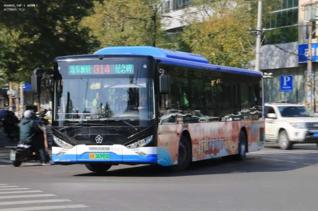 冀A·06995D