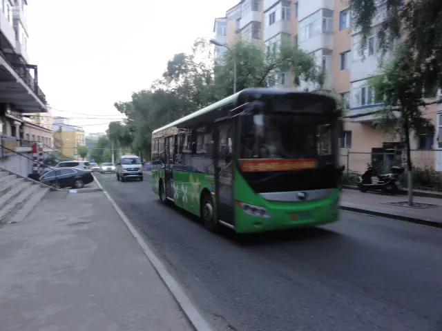 800BUS