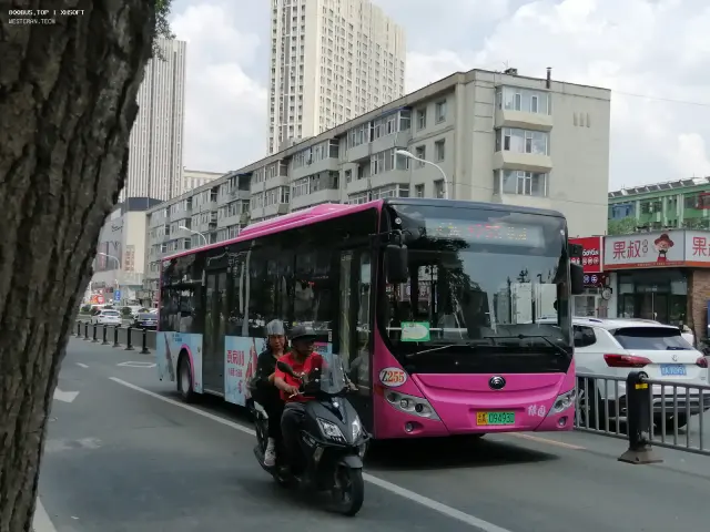 800BUS