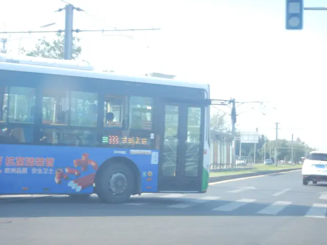 800BUS
