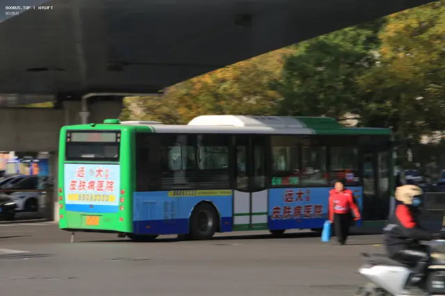800BUS