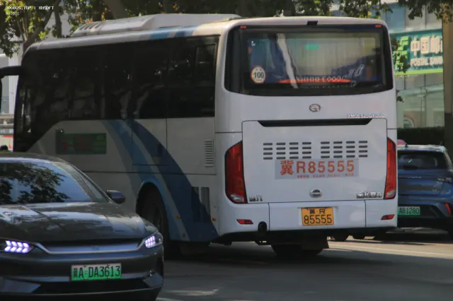 800BUS