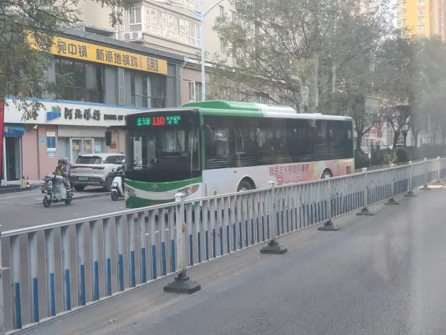 800BUS