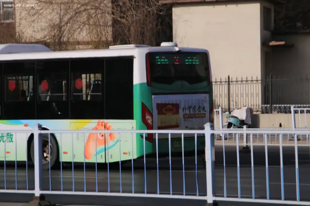 800BUS