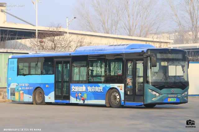 800BUS
