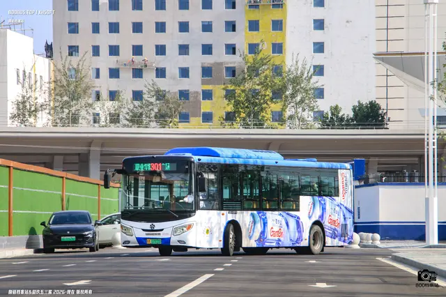 800BUS