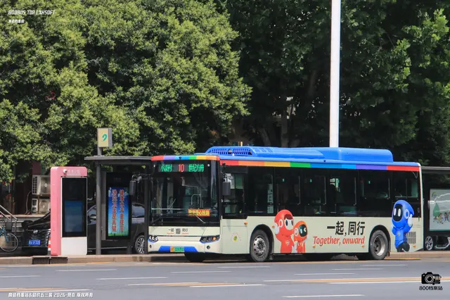 800BUS