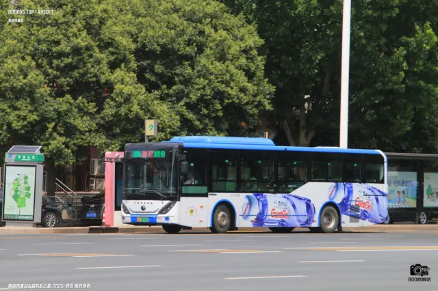 800BUS